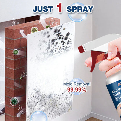 Mold & Mildew Stain Remover