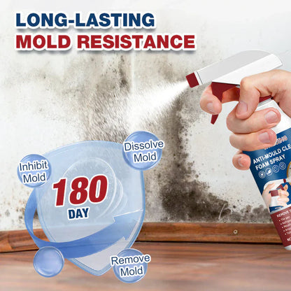 Mold & Mildew Stain Remover